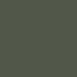Painting the Past Eggshell Finish Camouflage (NC85) Painting the Past Eggshell Finish Camouflage (NC85)