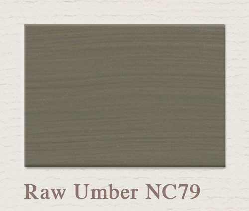 Painting the Past Matt Emulsions Raw Umber (NC79)