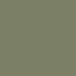 Painting the Past Eggshell Finish Cottage Green (NN53) Painting the Past Eggshell Finish Cottage Green (NN53)