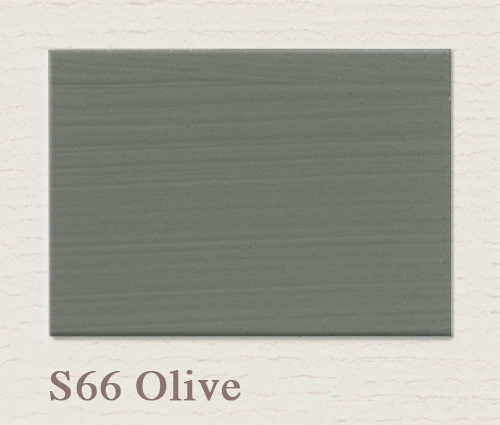Painting the Past Eggshell Finish Olive (S66)