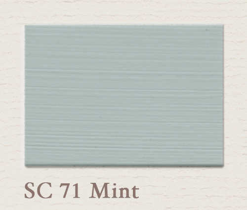 Painting the Past Eggshell Finish Mint (SC71)